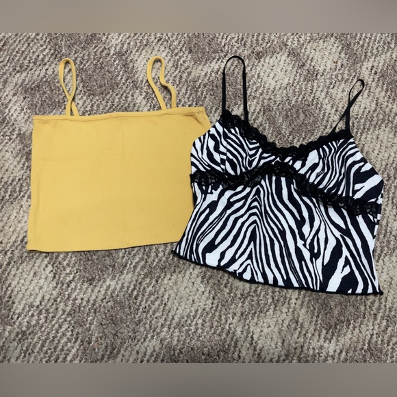 Brandy Melville Tops - ✨4/$25✨ Bundle of two tank crop tops